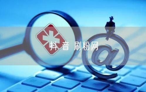 抖 音 刷粉网