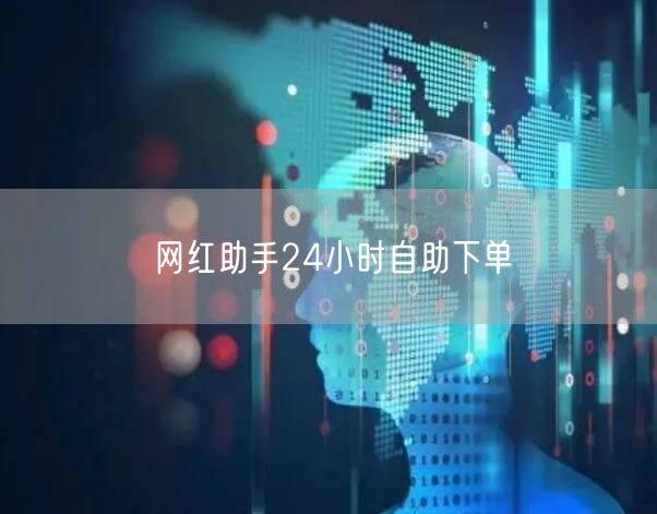 网红助手24小时自助下单