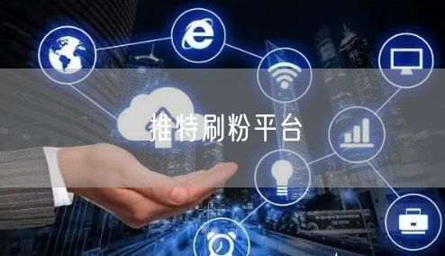 推特刷粉平台