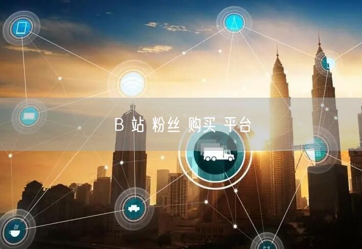 B 站 粉丝 购买 平台