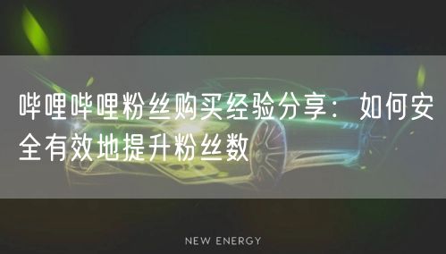 哔哩哔哩粉丝购买经验分享：如何安全有效地
