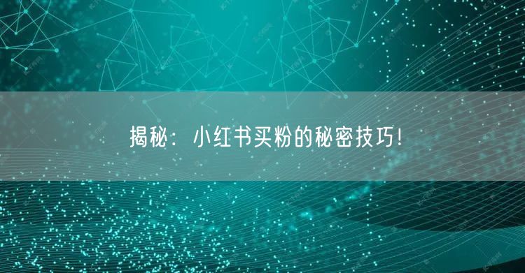 揭秘：小红书买粉的秘密技巧！
