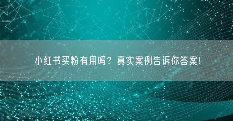 小红书买粉有用吗？真实案例告诉你答案！