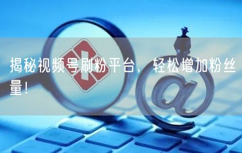 揭秘视频号刷粉平台，轻松增加粉丝量！