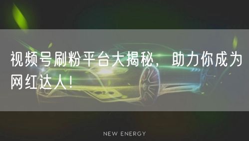 视频号刷粉平台大揭秘，助力你成为网红达人