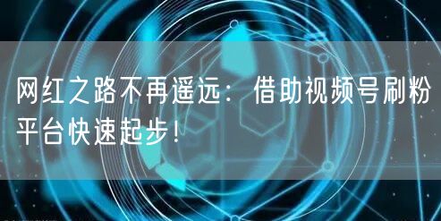 网红之路不再遥远：借助视频号刷粉平台快速