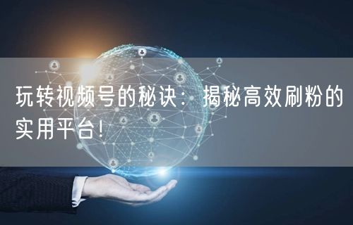玩转视频号的秘诀：揭秘高效刷粉的实用平台