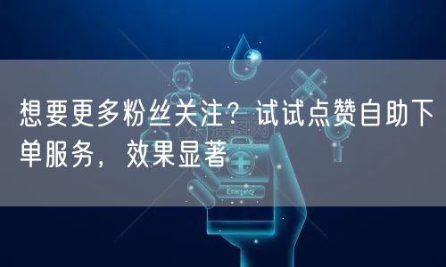 想要更多粉丝关注？试试点赞自助下单服务，