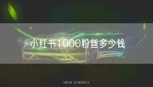 小红书1000粉丝多少钱