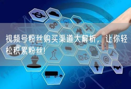 视频号粉丝购买渠道大解析，让你轻松积累粉