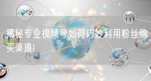揭秘专业视频号如何巧妙利用粉丝购买渠道!