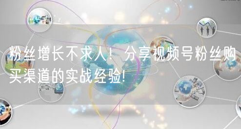 粉丝增长不求人！分享视频号粉丝购买渠道的