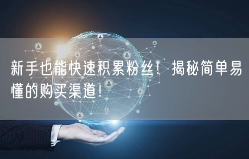 新手也能快速积累粉丝！揭秘简单易懂的购买