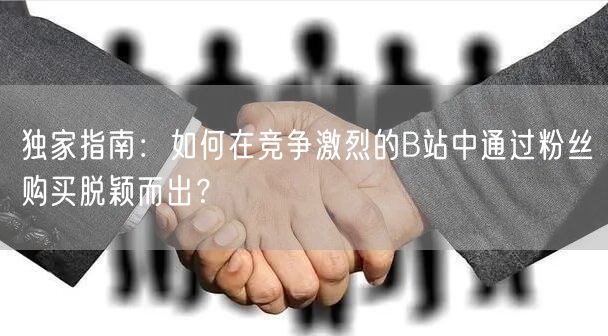 独家指南：如何在竞争激烈的B站中通过粉丝