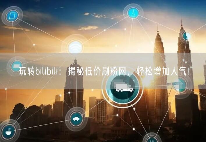 玩转bilibili：揭秘低价刷粉网，轻