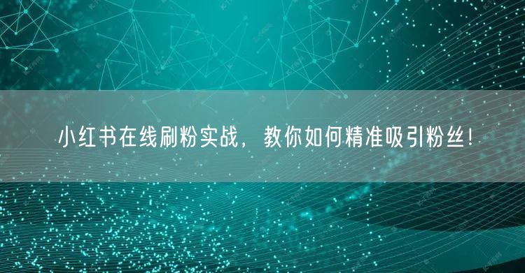 小红书在线刷粉实战，教你如何精准吸引粉丝