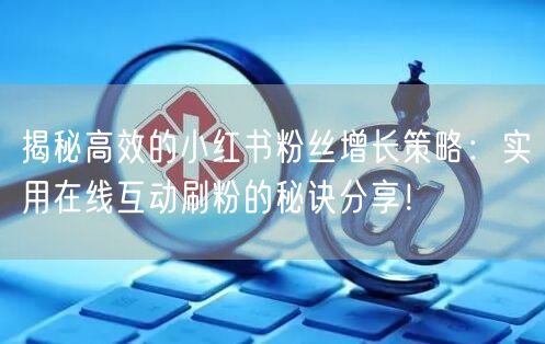 揭秘高效的小红书粉丝增长策略：实用在线互