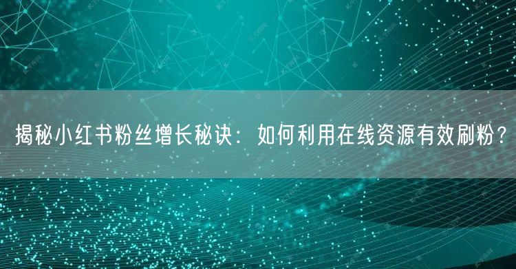 揭秘小红书粉丝增长秘诀：如何利用在线资源