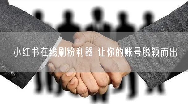 小红书在线刷粉利器 让你的账号脱颖而出