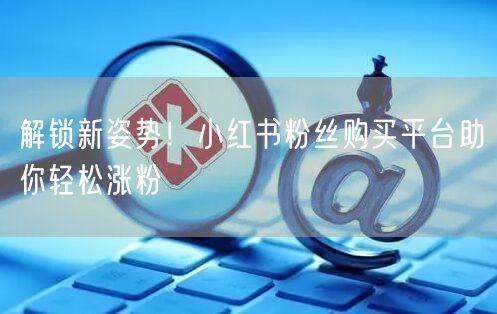 解锁新姿势！小红书粉丝购买平台助你轻松涨