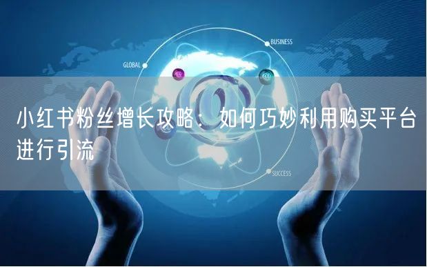 小红书粉丝增长攻略：如何巧妙利用购买平台