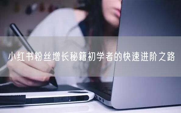 小红书粉丝增长秘籍初学者的快速进阶之路