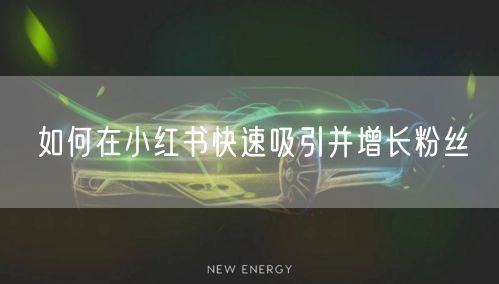 如何在小红书快速吸引并增长粉丝