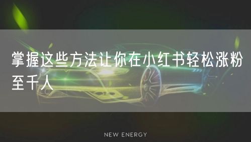 掌握这些方法让你在小红书轻松涨粉至千人