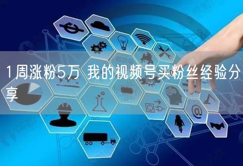 1周涨粉5万 我的视频号买粉丝经验分享