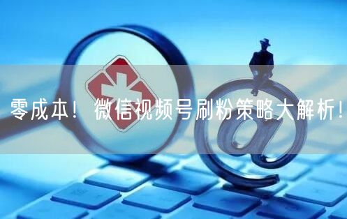 零成本！微信视频号刷粉策略大解析！