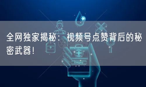 全网独家揭秘：视频号点赞背后的秘密武器！