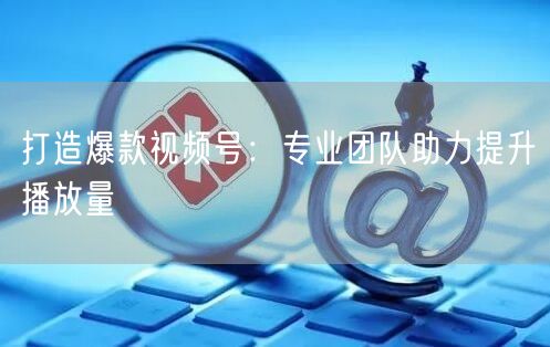 打造爆款视频号：专业团队助力提升播放量