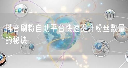 抖音刷粉自助平台快速提升粉丝数量的秘诀