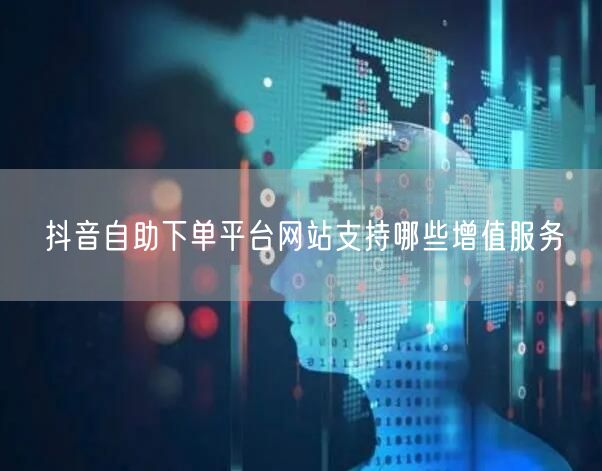 抖音自助下单平台网站支持哪些增值服务