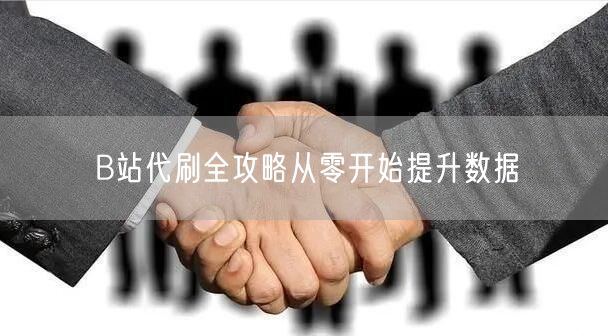 B站代刷全攻略从零开始提升数据