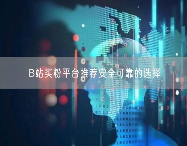 B站买粉平台推荐安全可靠的选择
