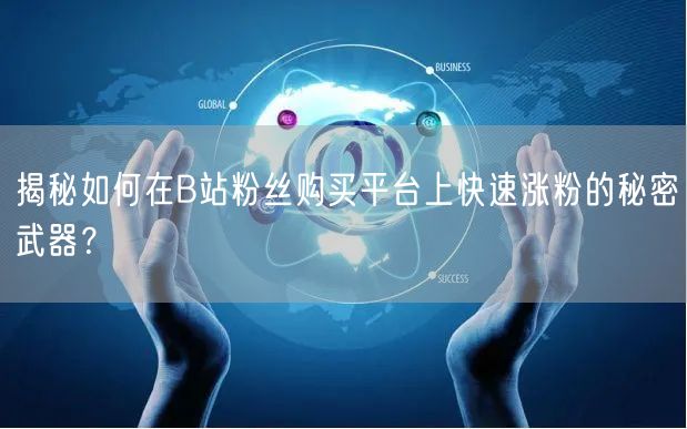 揭秘如何在B站粉丝购买平台上快速涨粉的秘