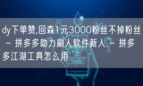 dy下单赞,回森1元3000粉丝不掉粉丝